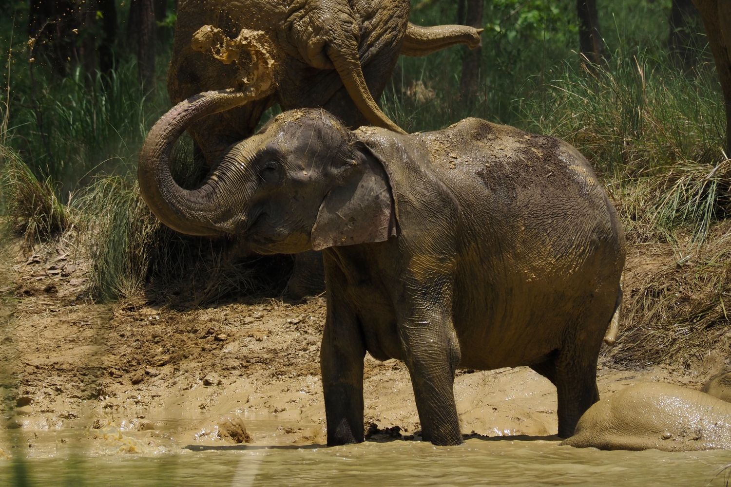 Bardiya Wildlife Photography Tour - Image 2